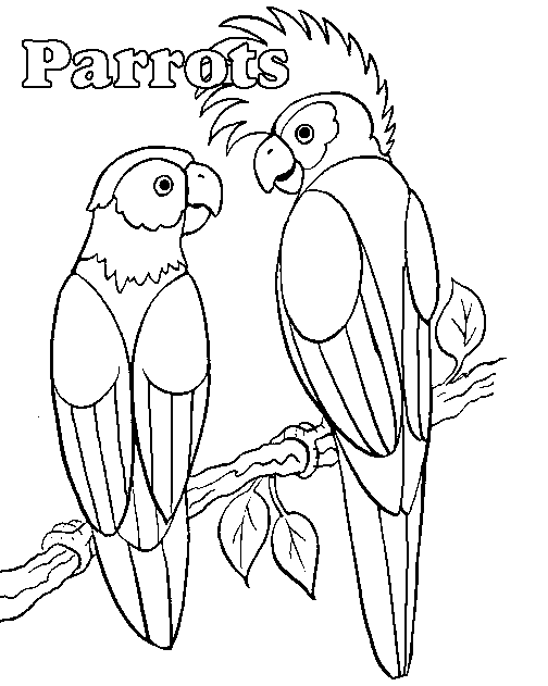 Kleurplaten Papagaai 